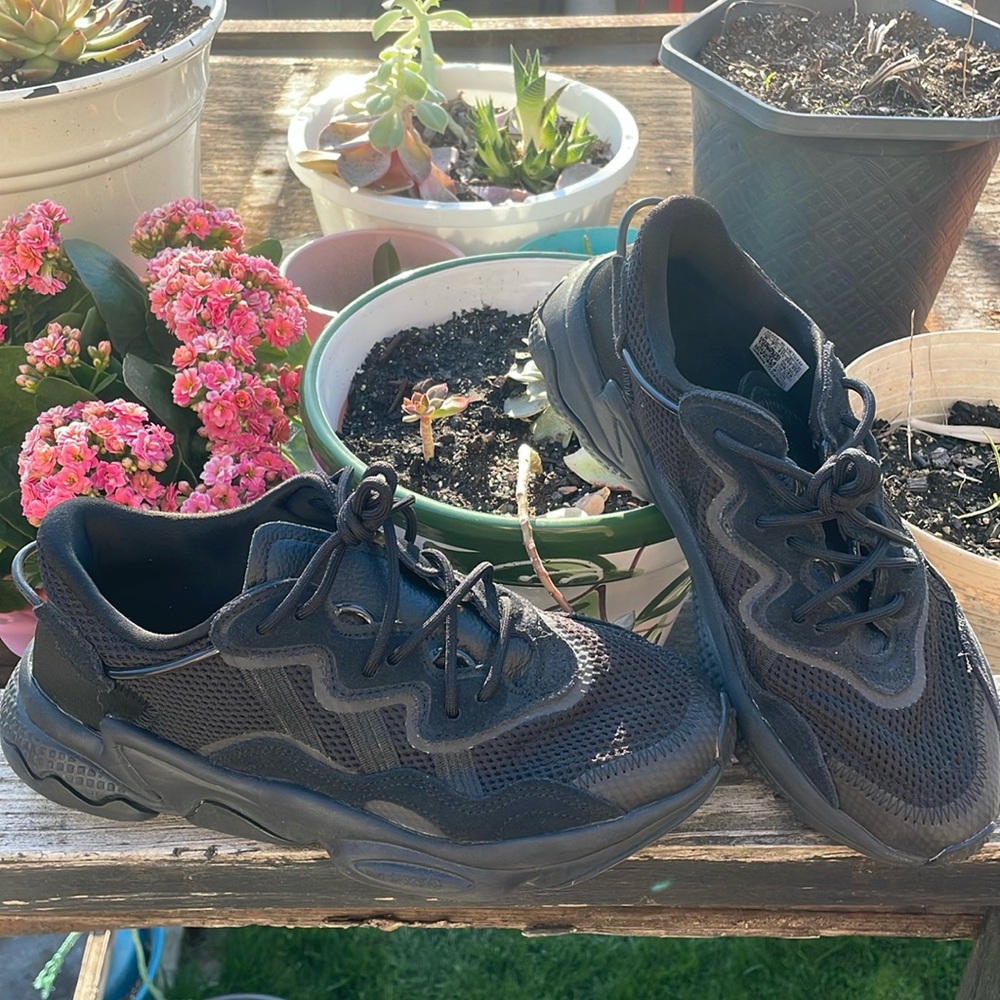 Adidas Ozweego
